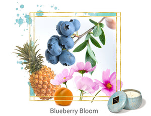 Blueberry Bloom